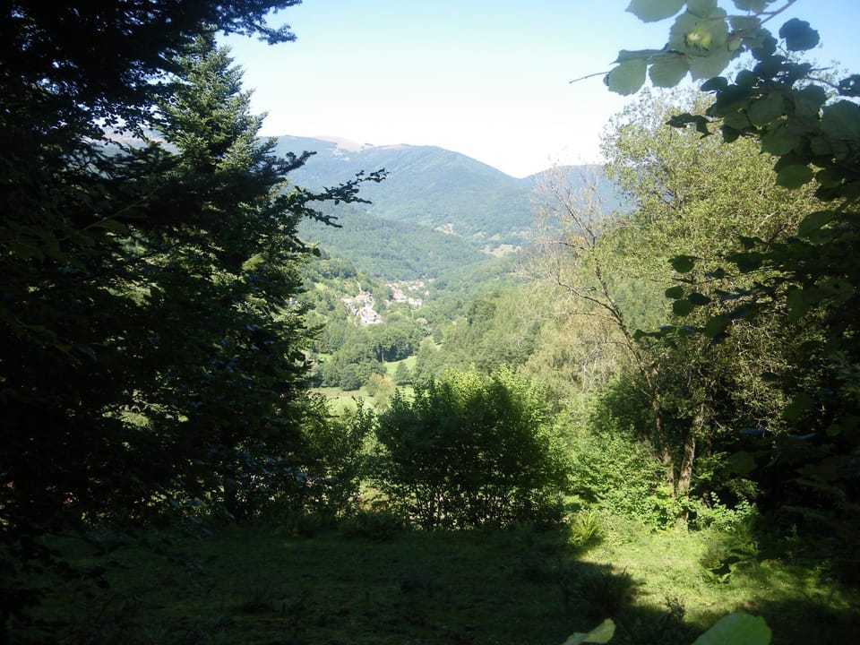 Natural landscape