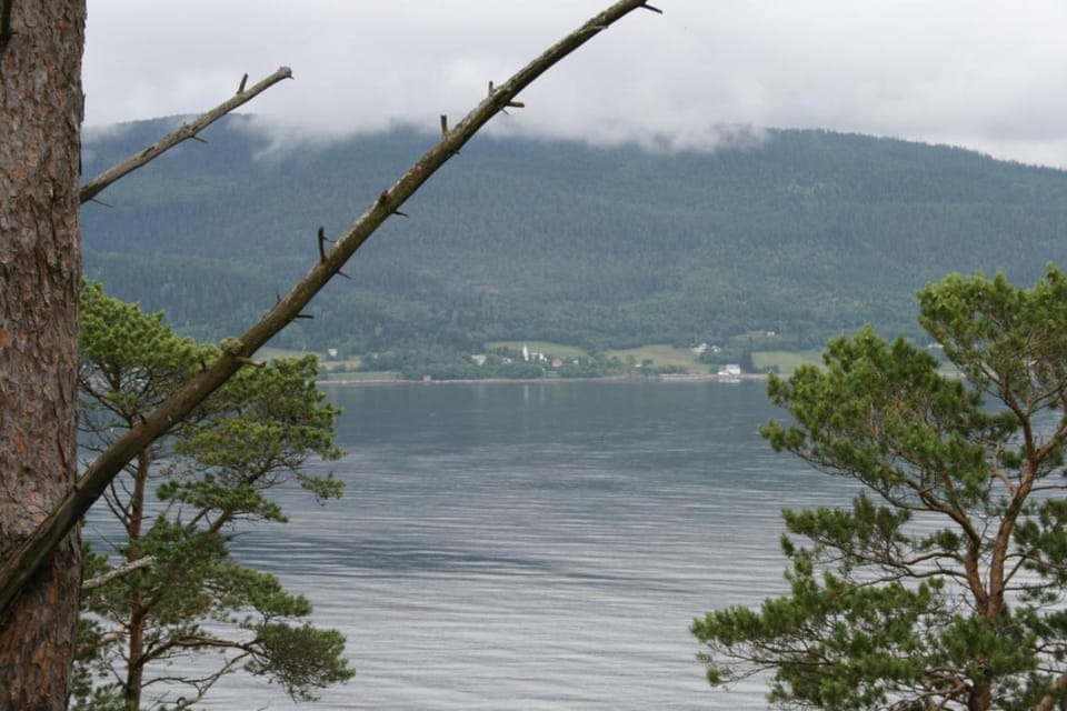 Day, Natural landscape