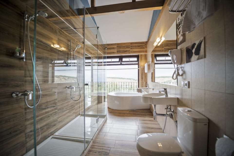 Shower, Bathroom, Mountain view