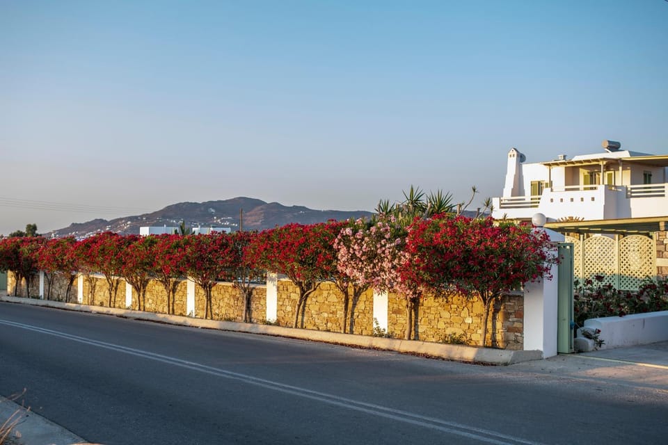 Neighbourhood, Natural landscape