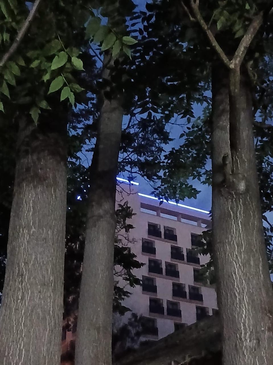 Property building, Night