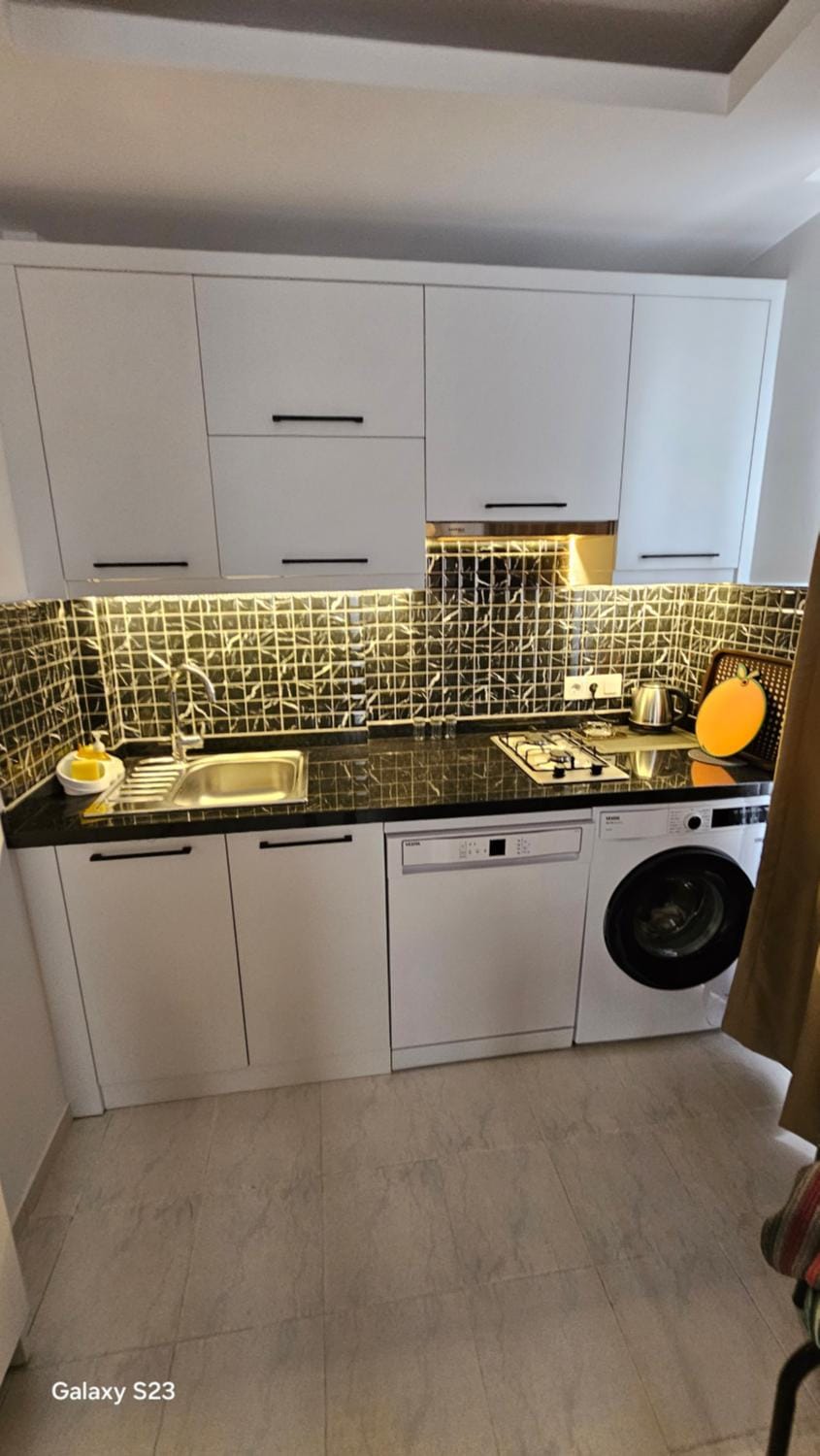 Kitchen or kitchenette, dishwasher