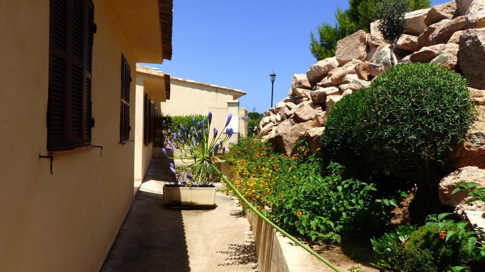 Property building, Spring