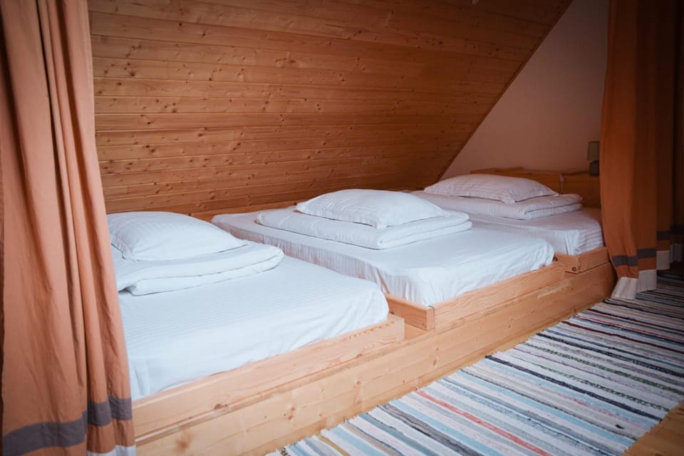 Zozo Hostel Hostel in Brasov