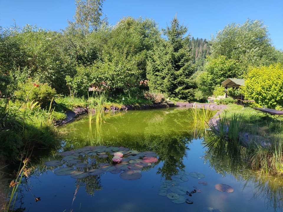Day, Natural landscape, Summer, Lake view