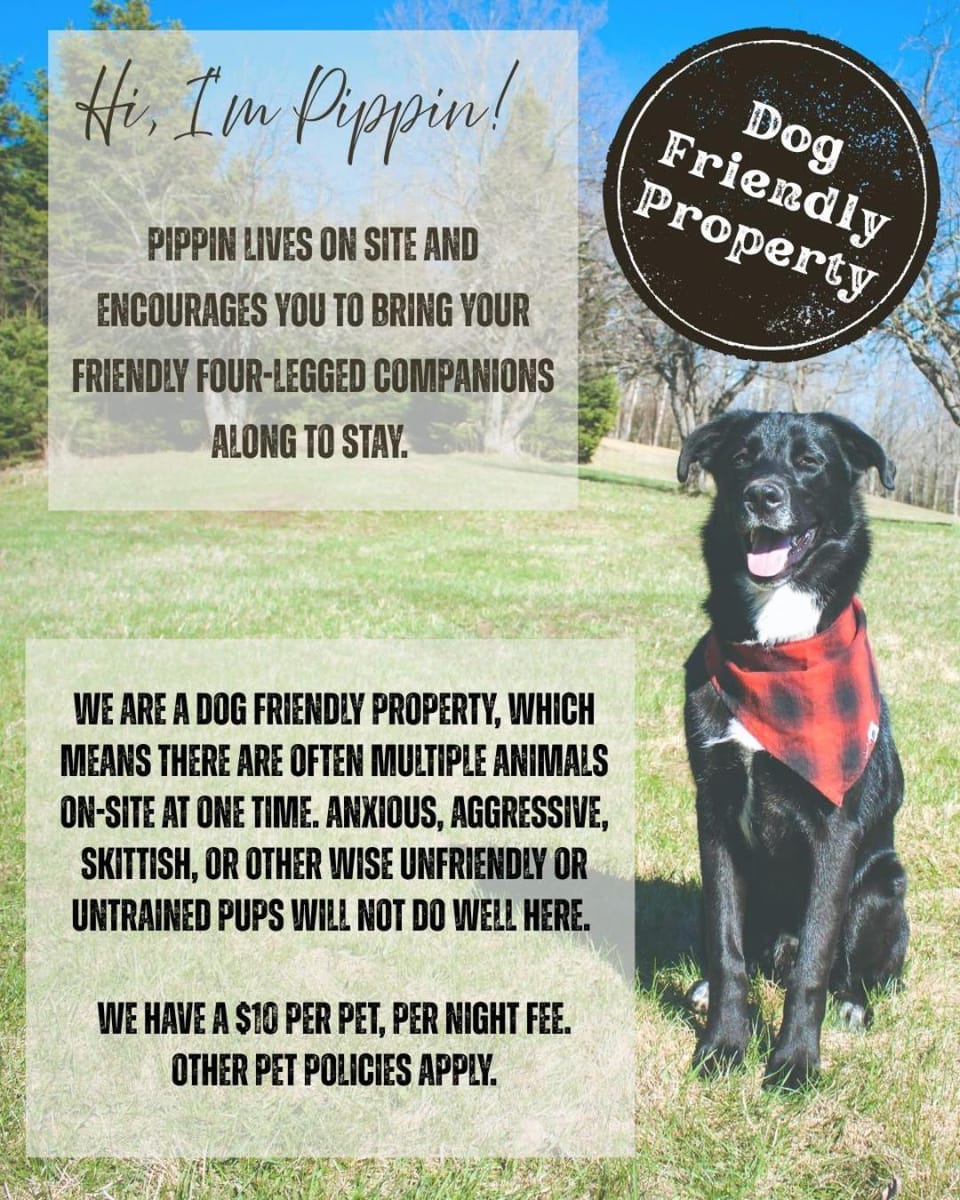 Pets, Pets, Pets, pet friendly, pet friendly