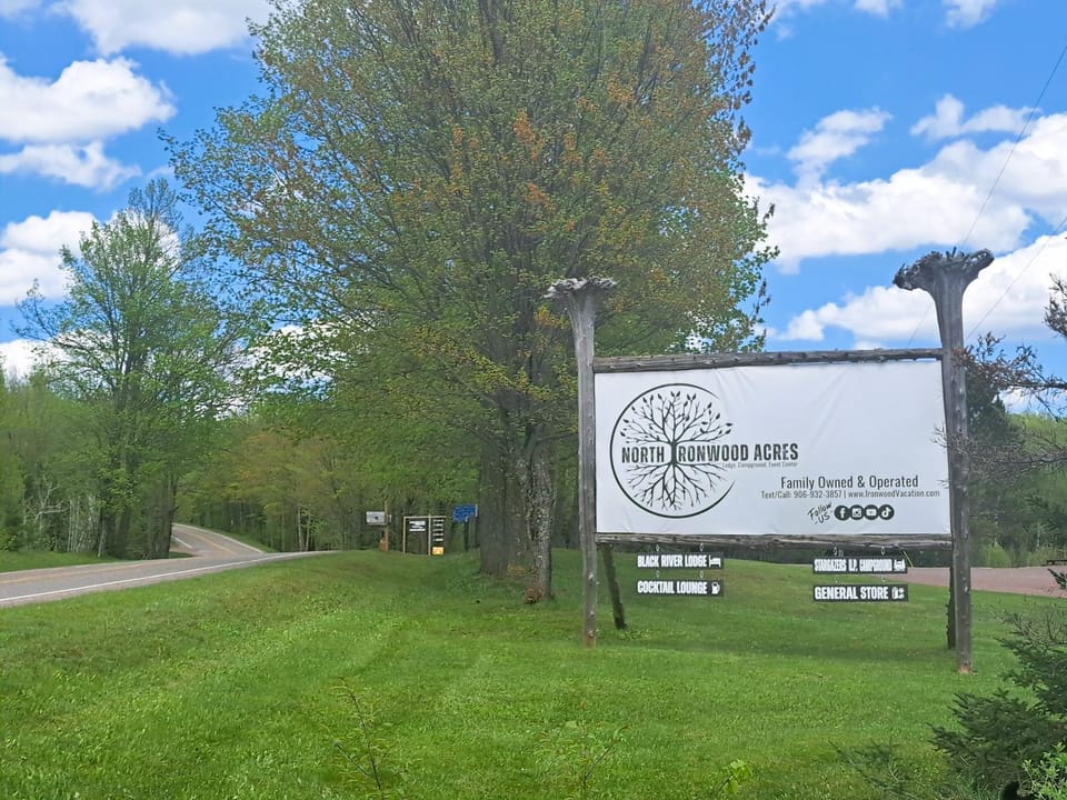 Spring, Property logo or sign, Neighbourhood, View (from property/room), Street view, Quiet street view