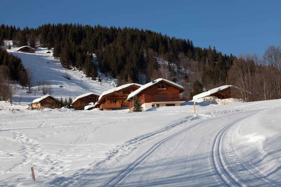 Winter, Area and facilities