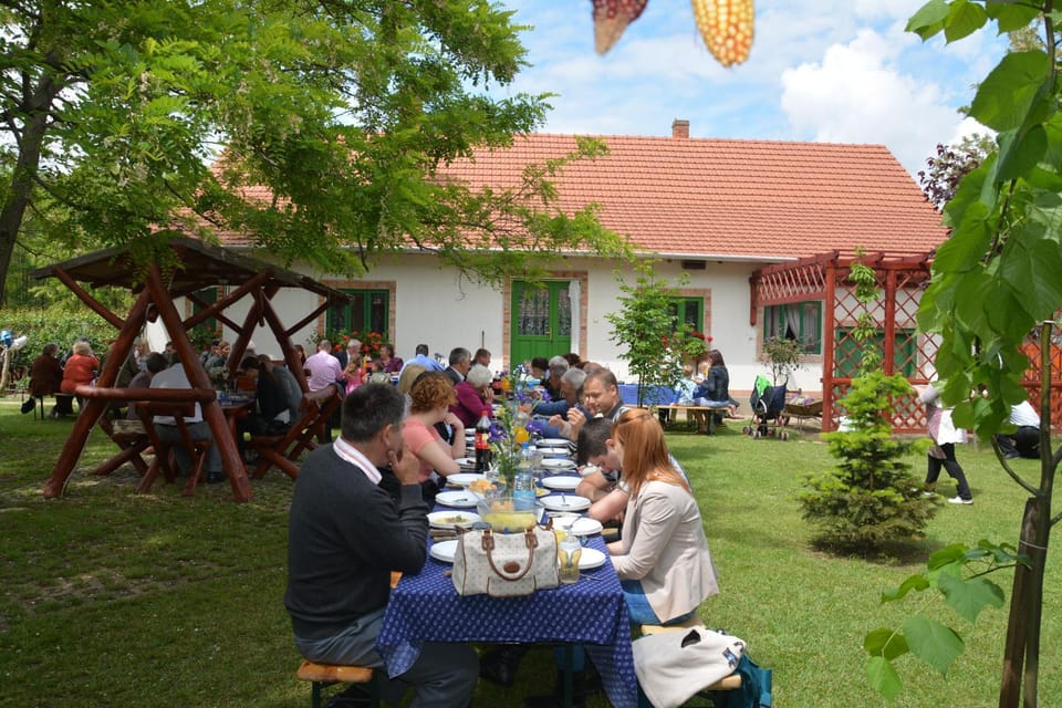 Németh Tanya Vendégház Country House in Hungary