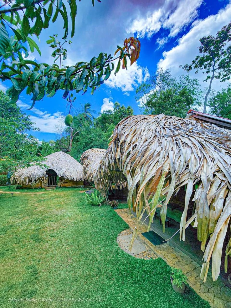 Natural landscape, Garden view