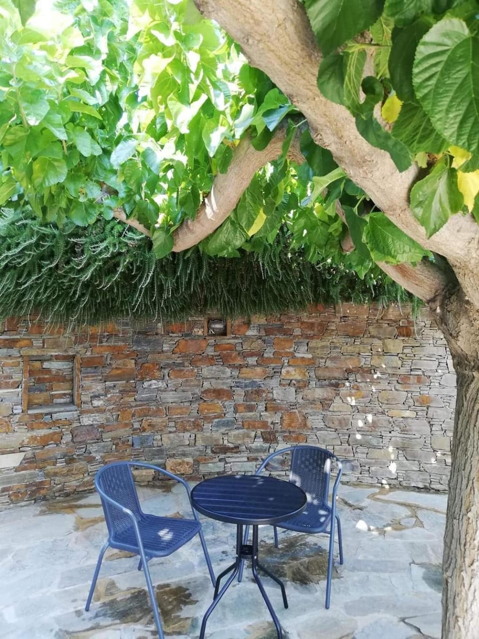 Aeolia Villas Apartment in Euboea