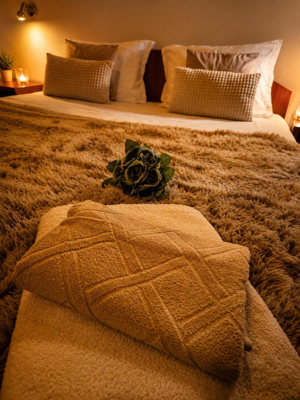 Guest House Karov - 2 Stars Bed and Breakfast in Plovdiv Province