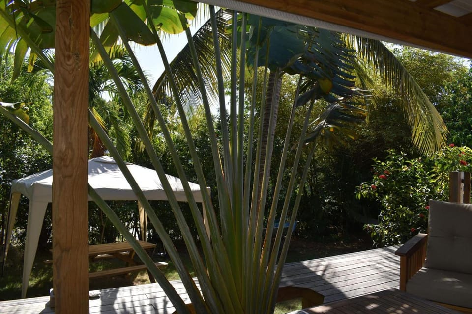 Garden view