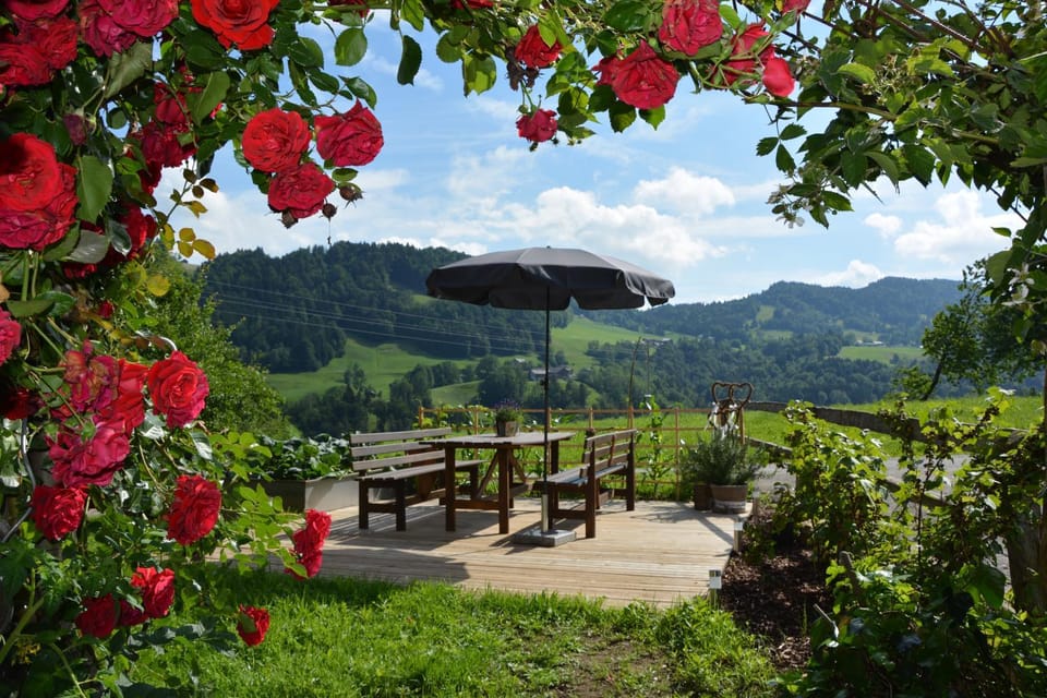 Spring, BBQ facilities, Garden, Garden view, Mountain view
