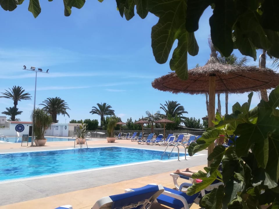 Swimming pool, sunbed