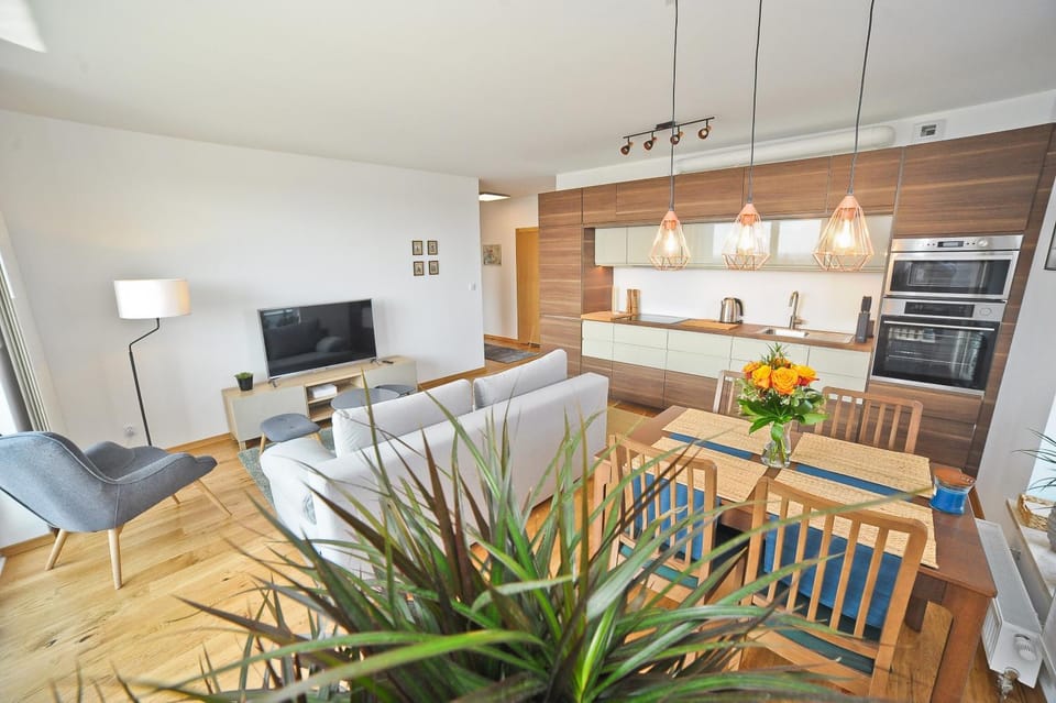 TV and multimedia, Kitchen or kitchenette, Living room, Seating area, Dining area