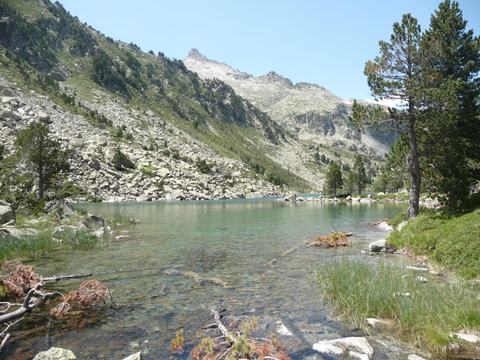 Natural landscape, Summer