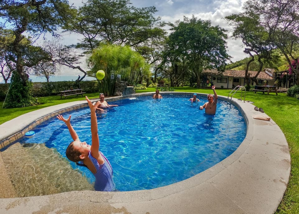 Activities, Swimming pool, Entertainment