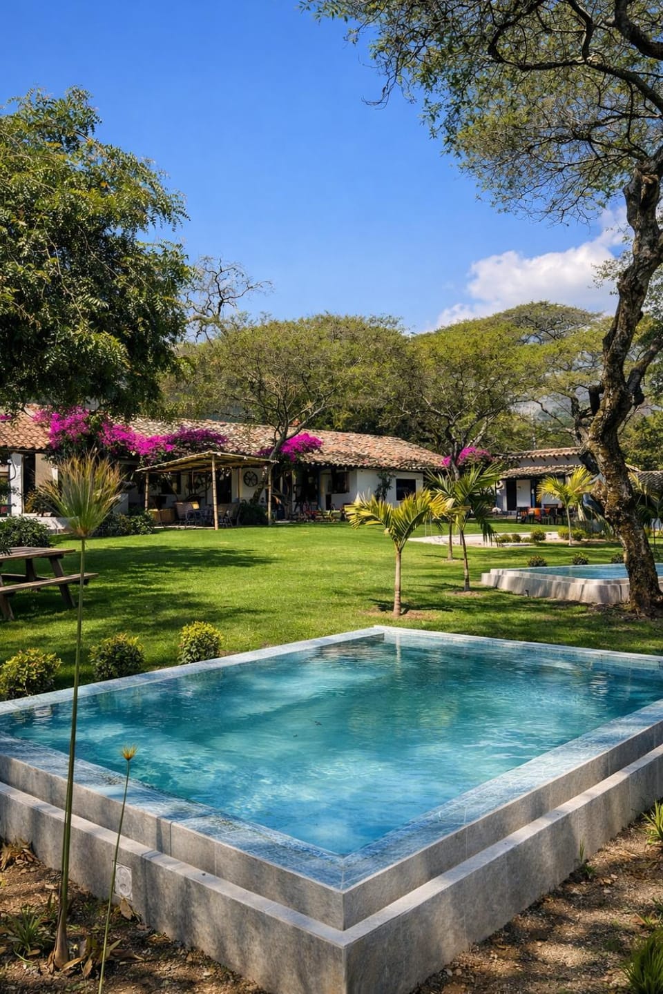 Natural landscape, Garden, Hot Tub, Pool view