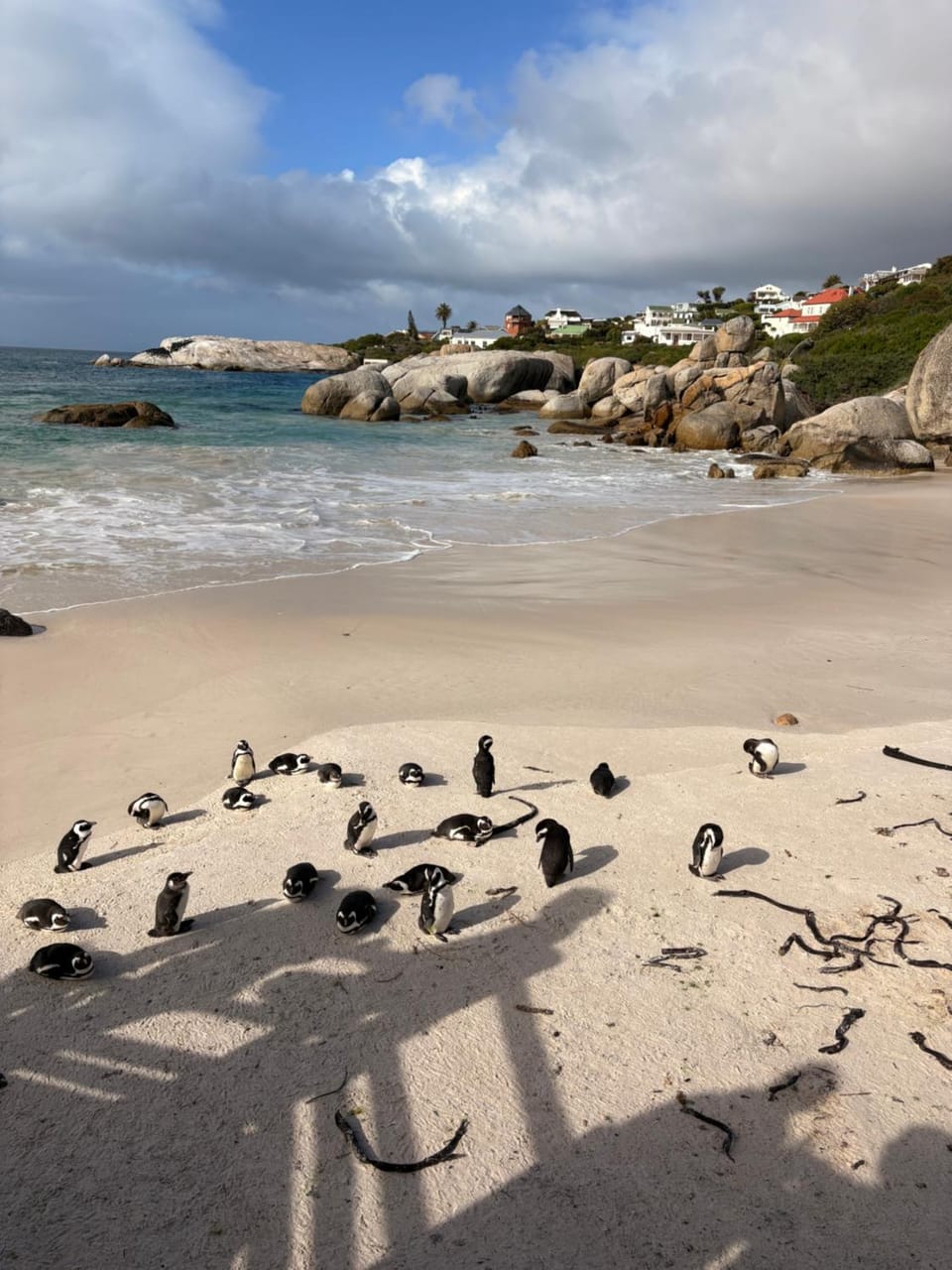 Sapphire Studio Apartment in Cape Town