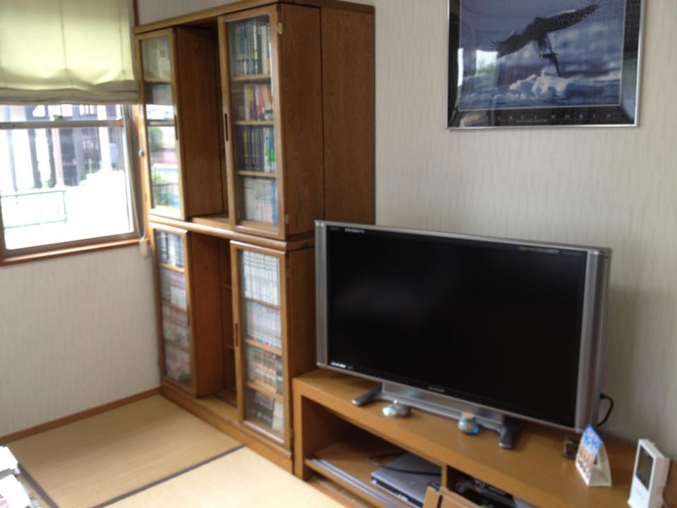 TV and multimedia