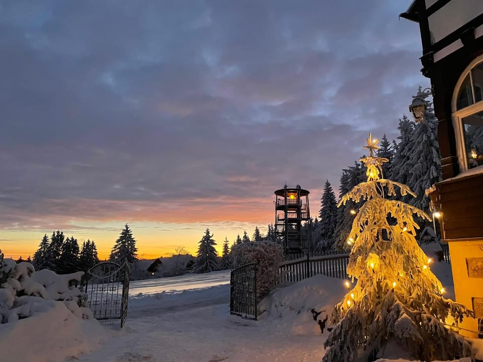 Natural landscape, Winter