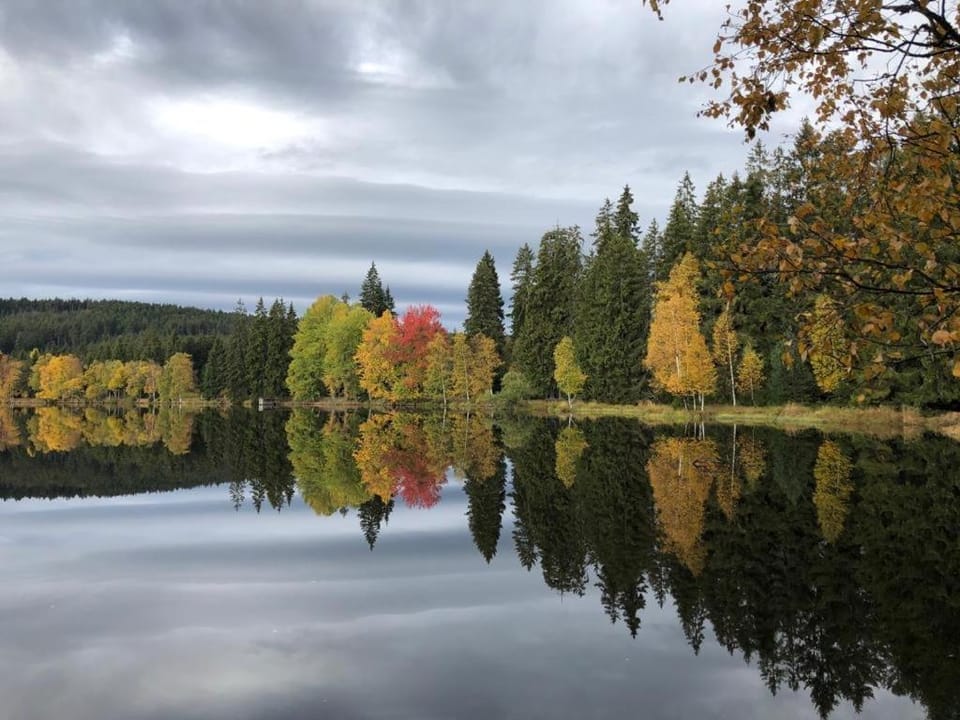 Day, Natural landscape, Lake view