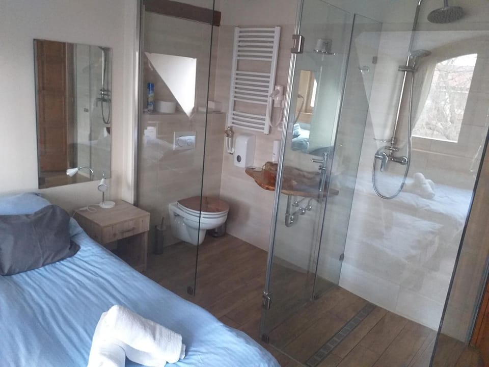 Shower, Toilet, Bed, Bathroom, Photo of the whole room, Bedroom, towels