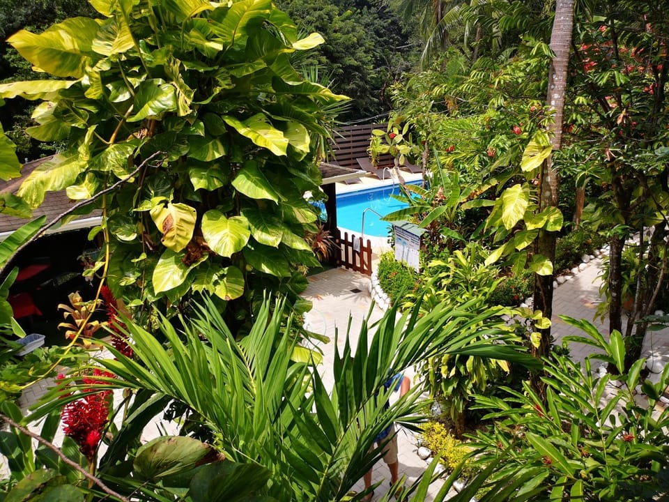 Garden view, Pool view