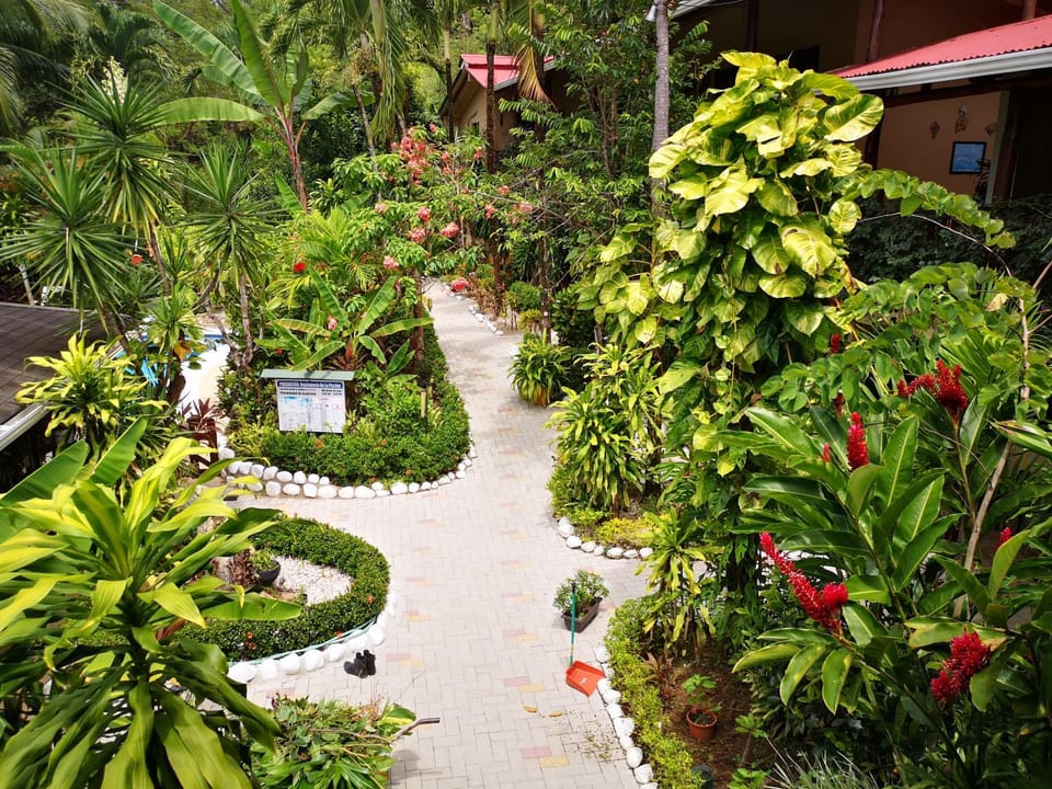 Garden view