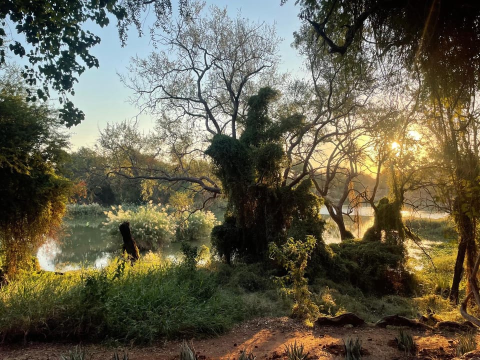 River view