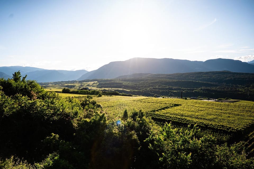 Spring, Day, Mountain view
