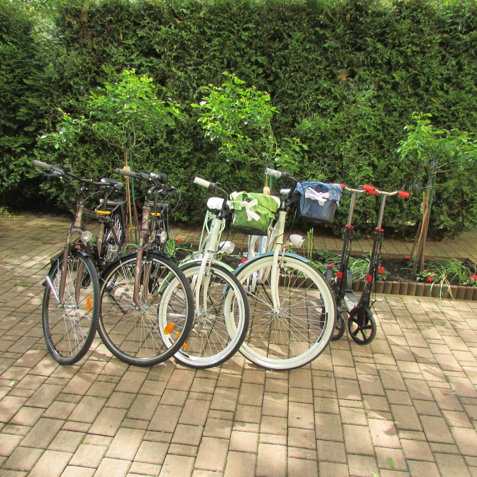 Cycling, Area and facilities