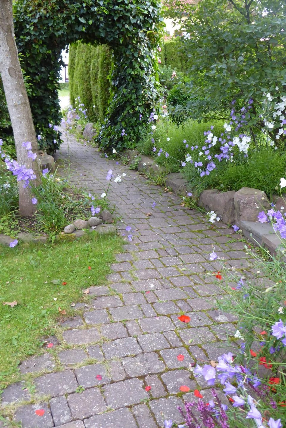 Enzkreisspitze Garten Apartment in Baden-Württemberg
