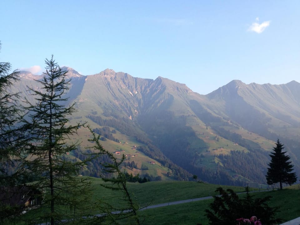 View (from property/room)