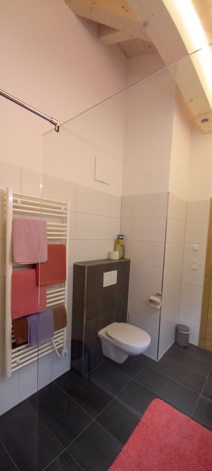 Toilet, Bathroom