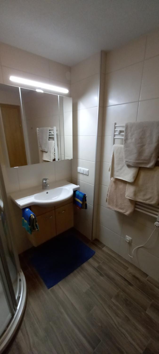 Shower, Toilet, Bathroom, towels