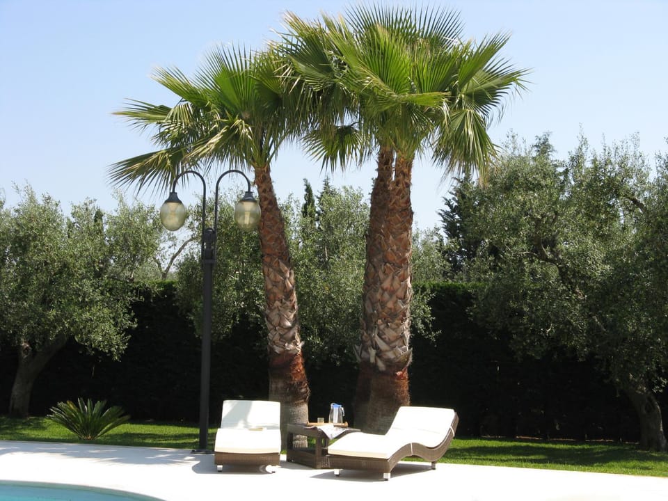 Garden, Swimming pool