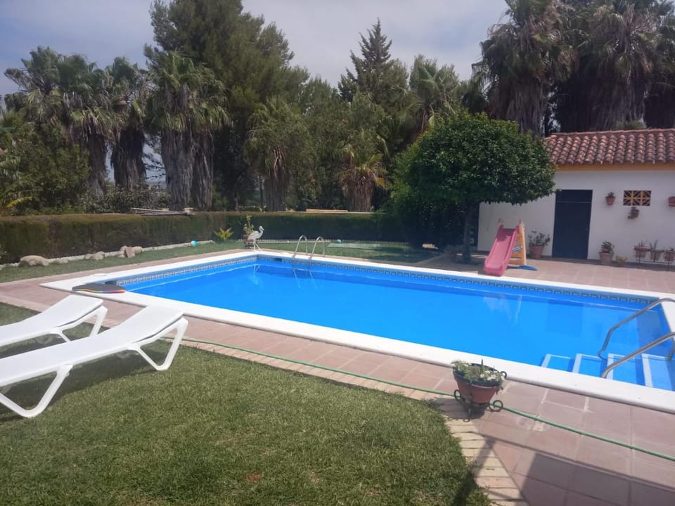 Swimming pool, Swimming pool