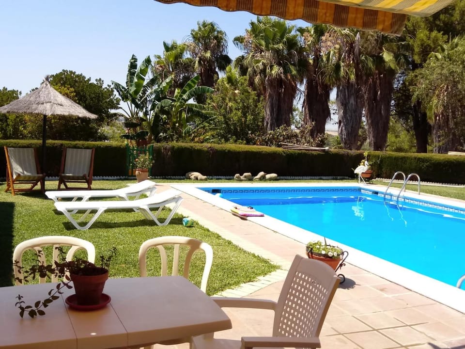 Swimming pool, Swimming pool