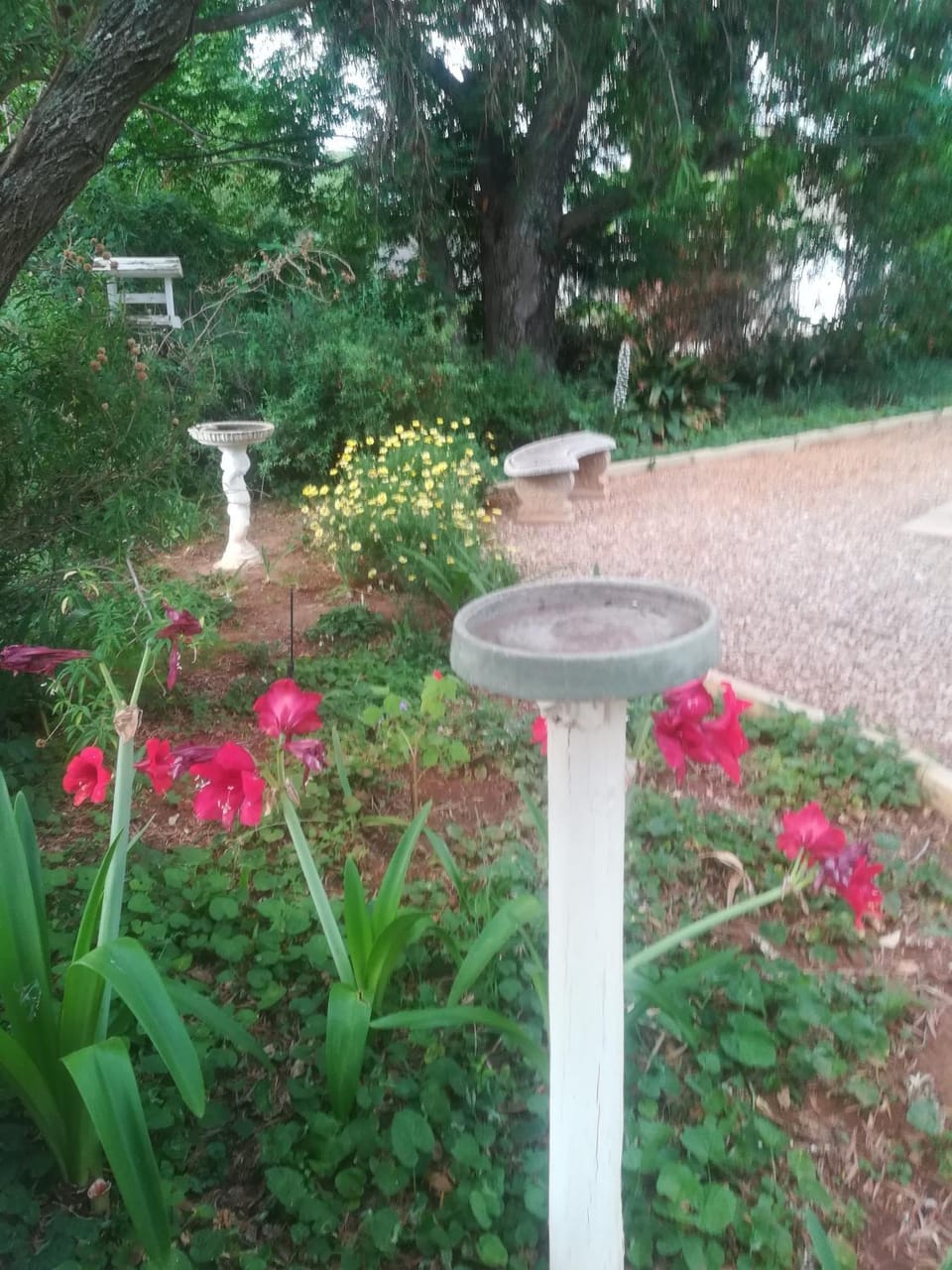 Mulberry Place Bed and Breakfast in Eastern Cape