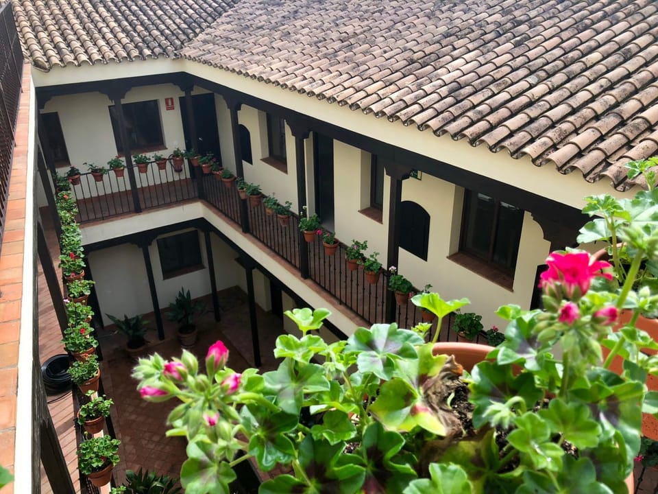 Property building, Patio, Bird's eye view, Balcony/Terrace, Decorative detail, Garden view
