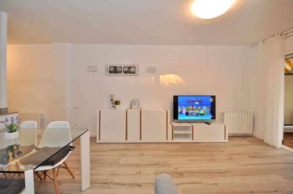 TV and multimedia