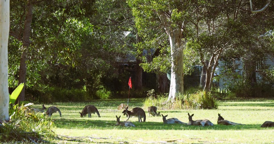 Activities, Activities, View (from property/room), Animals, Animals, Garden view, Garden view, Landmark view