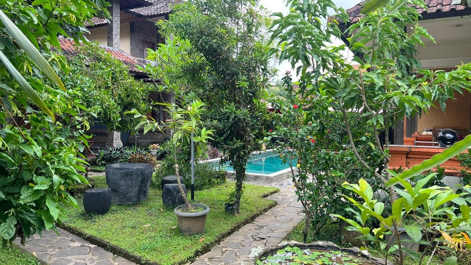 Day, Natural landscape, Garden, Garden, Dining area, Garden view, Pool view, Swimming pool, Inner courtyard view