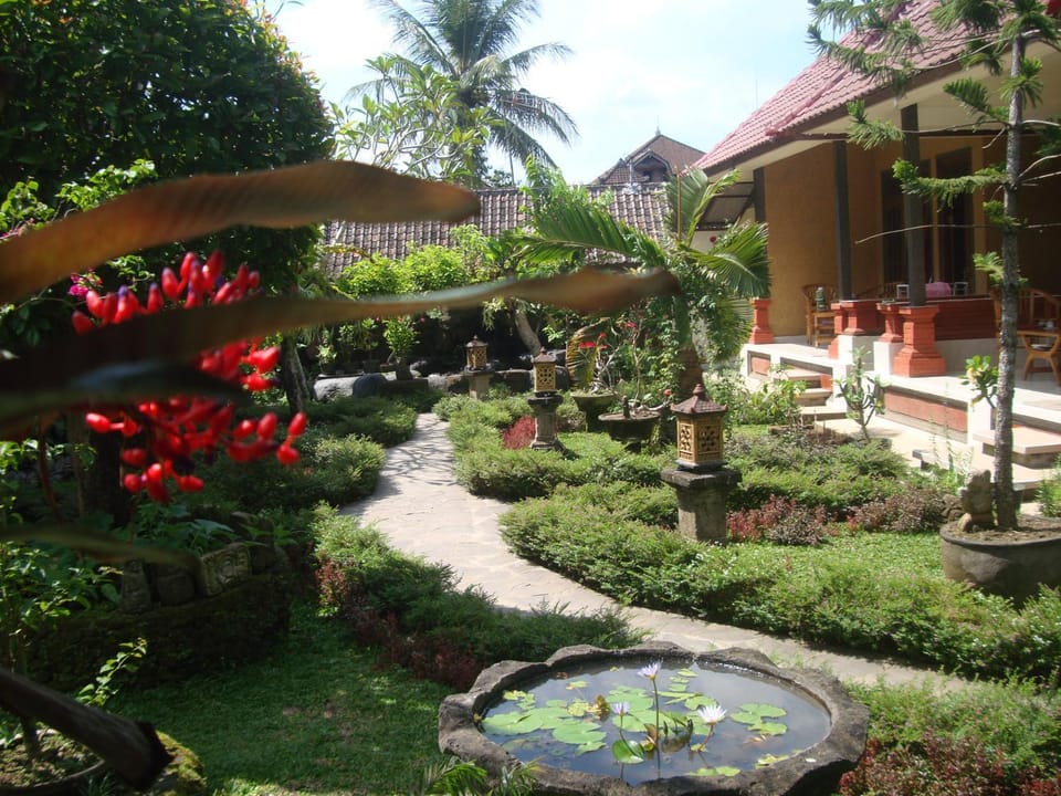 Property building, Garden, View (from property/room), Garden view, Inner courtyard view