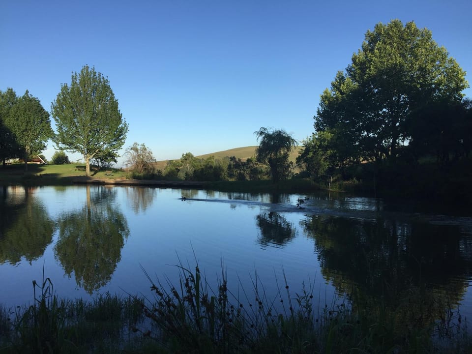 Natural landscape, Lake view
