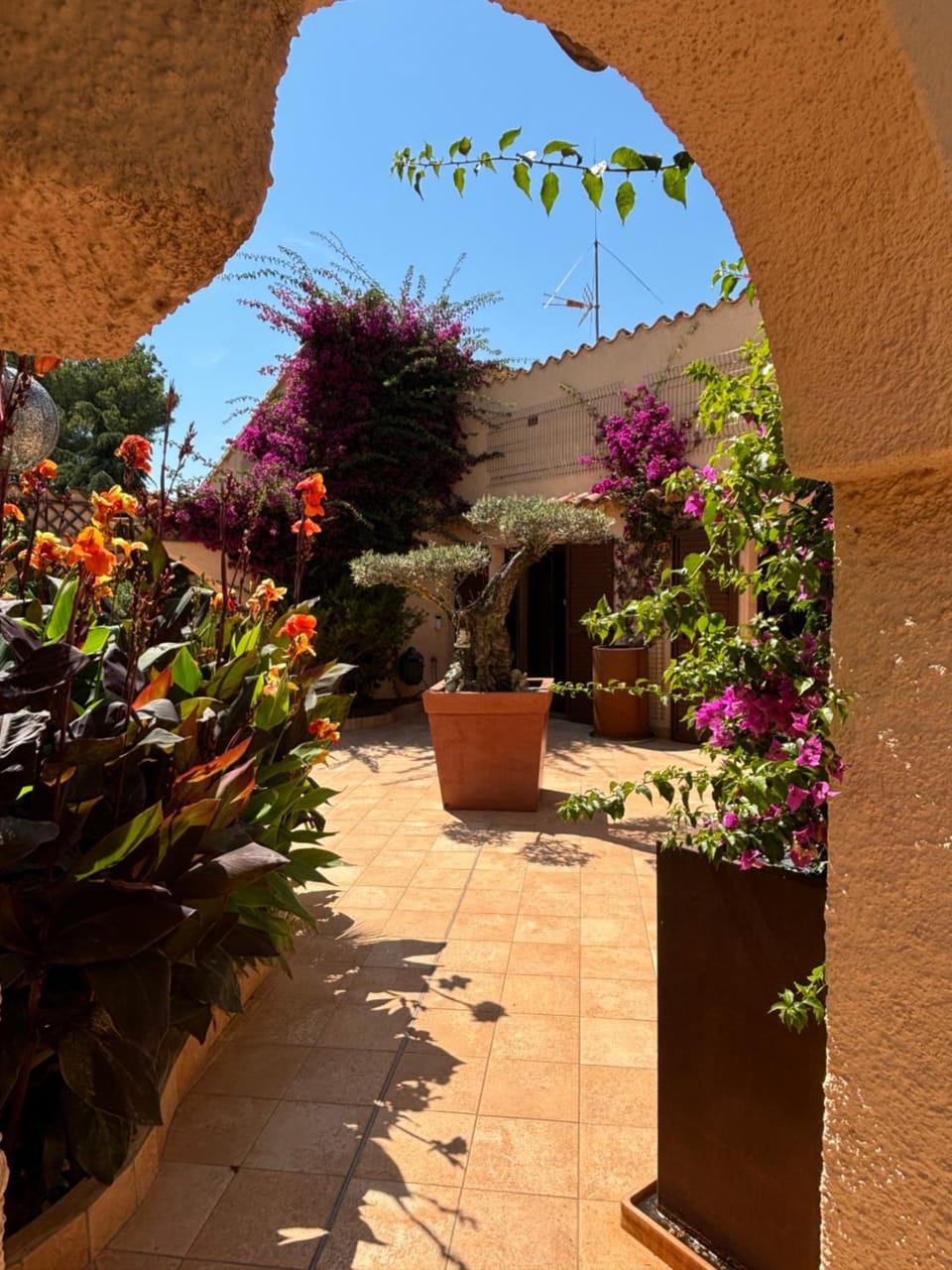 Chambre d'hôtes & SPA Mas Dels Esquirols Bed and Breakfast in Occitanie