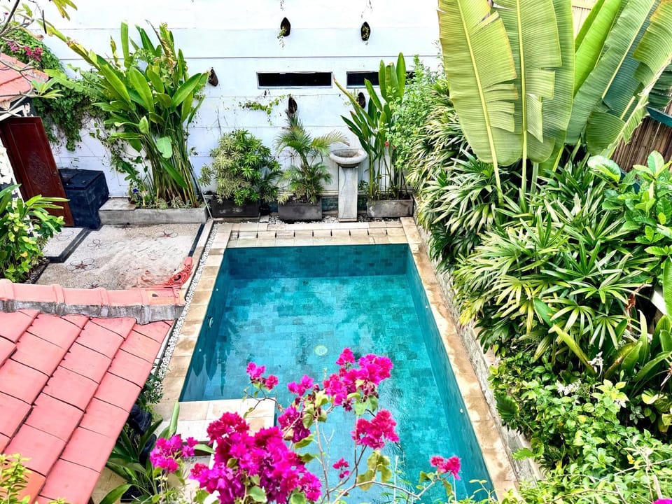 Property building, Day, Garden, Garden view, Pool view, Swimming pool