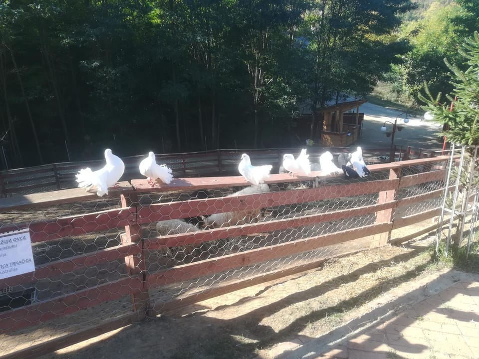 Etno selo Vile Jefimija, selo Preobrazenje, Vranje Hotel in North Macedonia